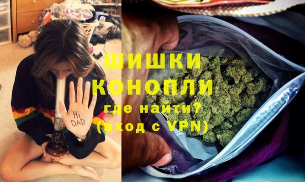 гидропоника Гусиноозёрск