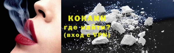 гидропоника Гусиноозёрск