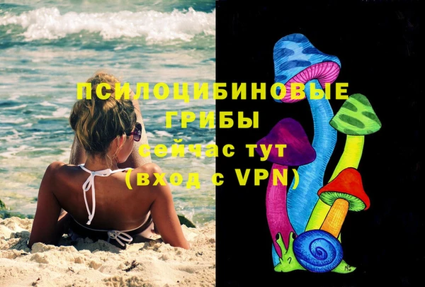 ECSTASY Дмитриев