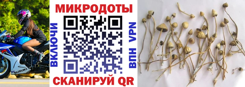 Галлюциногенные грибы MAGIC MUSHROOMS  Купить где  Снежногорск 